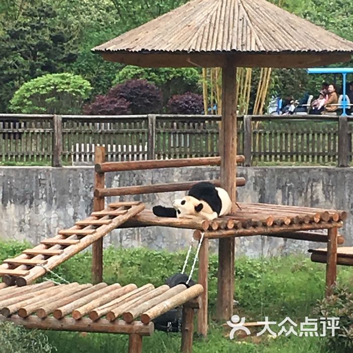 長沙生態動物園