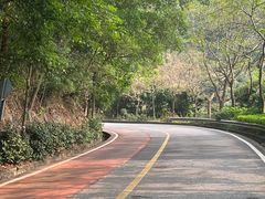 -东莞市大岭山森林公园