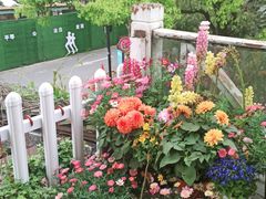 -春暖花开(西溪店)