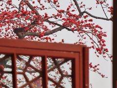 -广州中山纪念堂