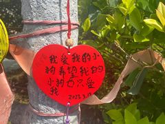 -贵安欢乐世界