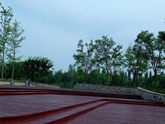 -东郊湿地公园