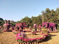 -东南花都花博园