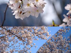 -龙美术馆(西岸馆)