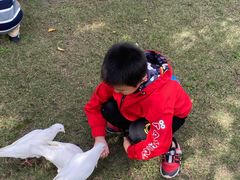 -董永七仙女文化园