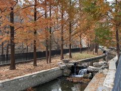 -白水寺森林公园