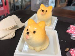 -柴犬高等学院·狗咖·柴犬售卖·宠物训练