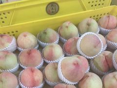 -老袁家蜜桃农场·阳山水蜜桃