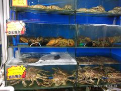 水产区-蚝专家(北滘店)