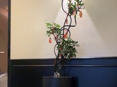 -涟LIAN·泰式按摩·MASSAGE·SPA(深业上城店)