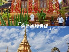 -西双版纳傣族园