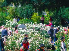 -人民公园(罗湖区)