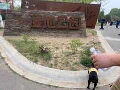 -东郊湿地公园