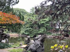 -叶家花园