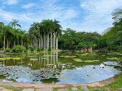 -中国科学院西双版纳热带植物园