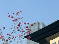 -在咖啡INCOFFEE(ICC升龙环球中心店)