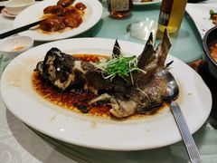 清蒸花尾龙趸斑-稻香酒家·33年老字号·港式粤菜(富邦中心店)