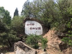 -白水寺森林公园