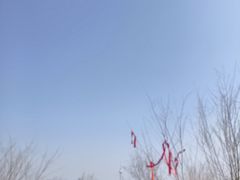 -南翠屏公园