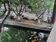-苏州吴宫泛太平洋酒店