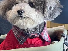 -LAVAZZA拉瓦萨咖啡(中航城君尚购物中心店)