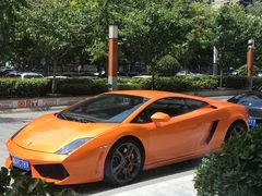 -郑州希尔顿酒店·阿米奇意大利餐厅