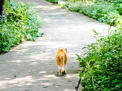 -沈阳市东陵公园