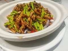 -峨嵋小镇·川菜(正定朗华店)