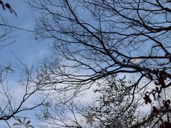 -一江春水·杭帮臻宴(三台山店)