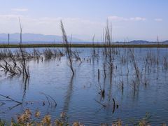 -野鸭湖国家湿地公园
