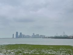 -万绿园
