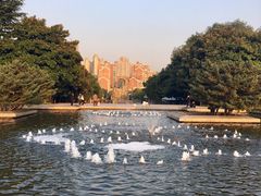 -上海市龙华烈士陵园