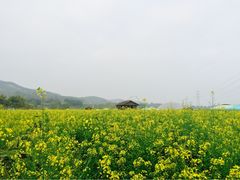 iphone_upload_pic-盈香心动乐园