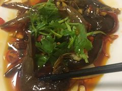 -金砂阿洲鱼册店