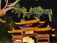 -夫子庙秦淮河画舫