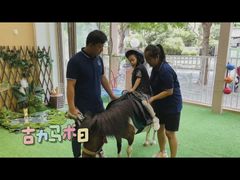 -古力古利托育早教中心(澳门路校区)