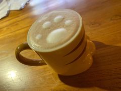 -more than meow吴止猫主题餐厅(承德 中船汇店)