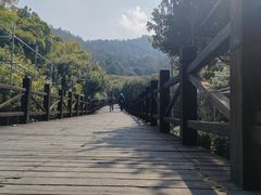 -树山生态村