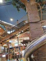 点击看大图 -卡通尼·Safari非洲探索乐园·生日会(金桥国际商业广场店)