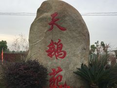 -明珠湖天鹅苑·农家菜馆