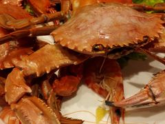 -悦港(悦港酒店)