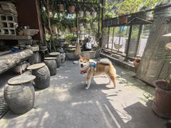 -大老王餐馆