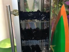 -爱威盛亲子俱乐部·纽约国际早托中心