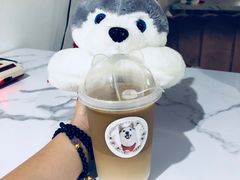 -Husky Go! 哈士奇体验馆·宠物咖啡厅狗咖