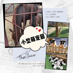 -萌宠亲子动物乐园(槐房万达店)