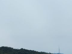-野狸岛
