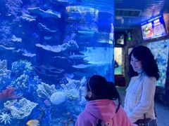 -左海海底世界