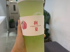 多肉绿葡萄-树夏(金楠天街店)
