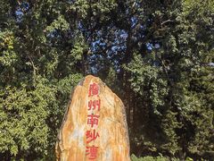 -南沙蒲洲花园
