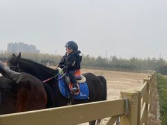 -汉长安城未央宫国家考古遗址公园